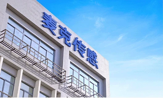 MICROSENSOR Industrial Park
