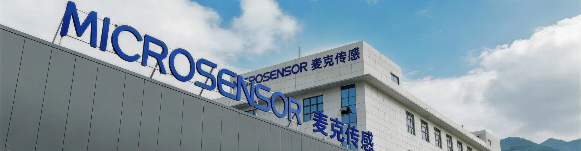 About MICROSENSOR