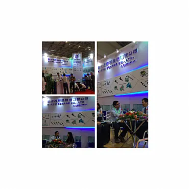 Micro Sensor participó en la exposición MICONEX de Chongqin