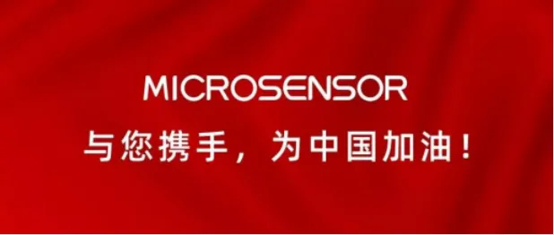 microsensor.webp